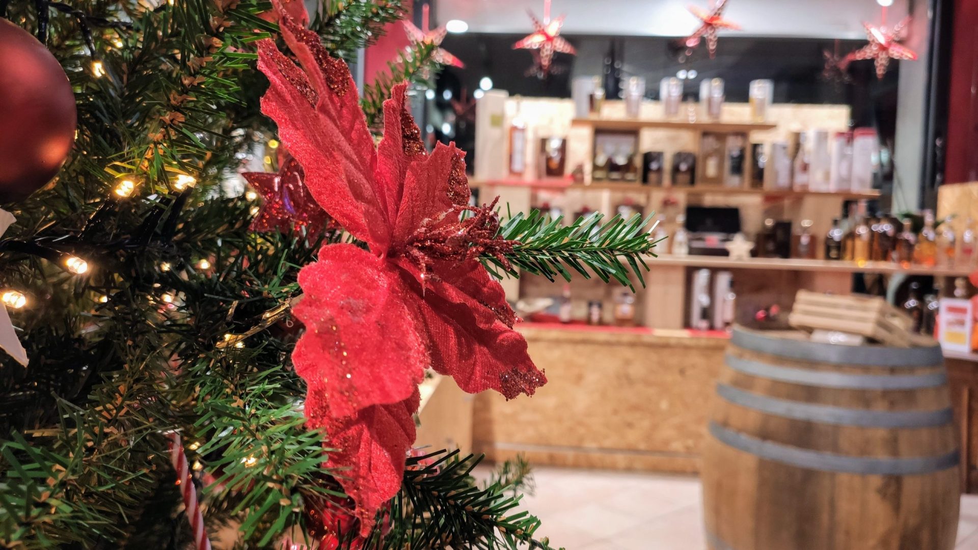 Foto Albero Enoteca Enoteca Le Note del Vino